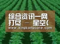种植基地六(图1)