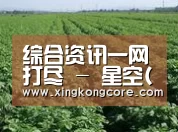 种植基地五(图1)