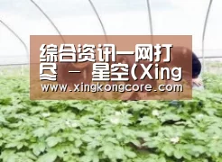 种植基地三
