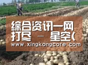 种植基地七(图1)