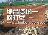 种植基地八