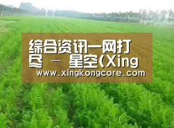 种植基地四