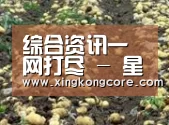种植基地八(图1)