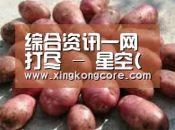 产品展示标题5(图1)