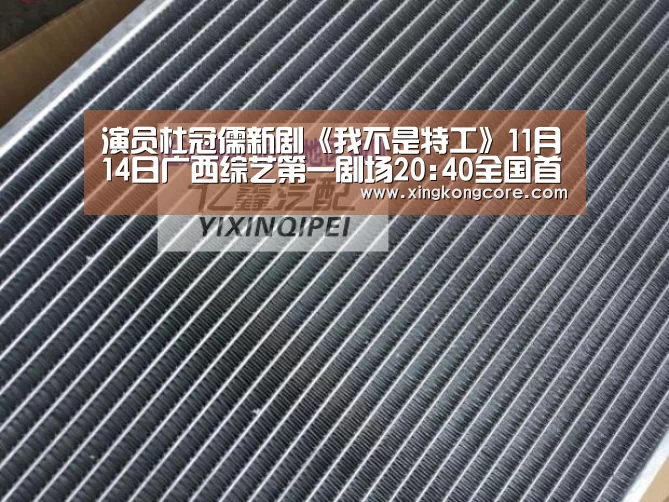 演员杜冠儒新剧《我不是特工》11月14日广西综艺第一剧场20:40全国首播_星空官网(图2) 星空直播