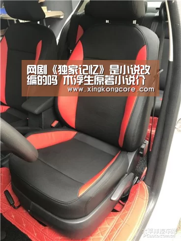 网剧《独家记忆》是小说改编的吗 木浮生原著小说介绍“星空直播”(图1) 星空官网