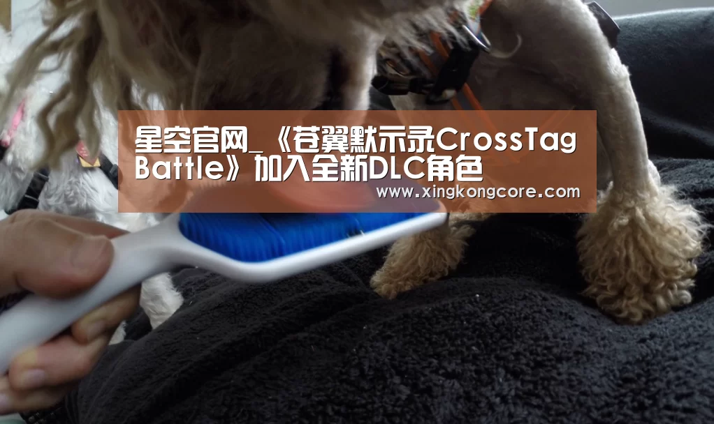星空官网_《苍翼默示录CrossTagBattle》加入全新DLC角色(图3) 星空赛程