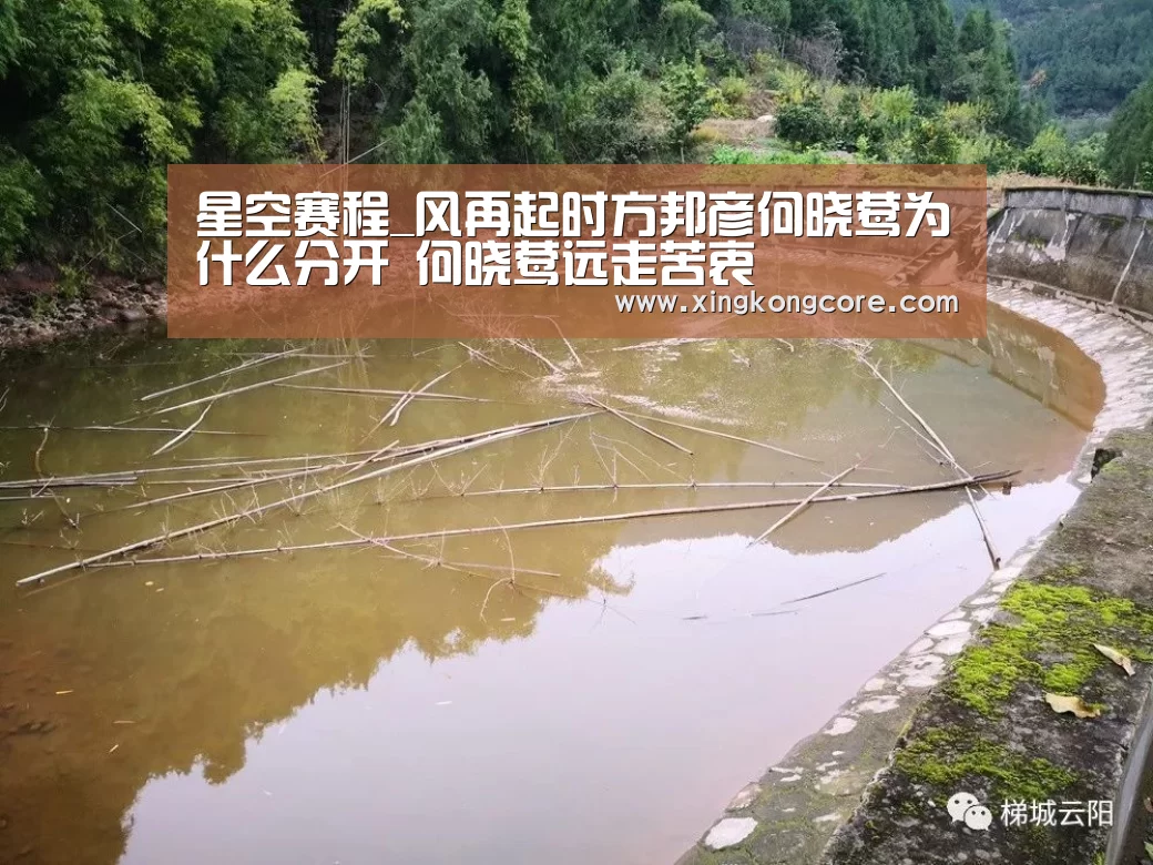 星空赛程_风再起时方邦彦何晓莺为什么分开 何晓莺远走苦衷(图1) 星空官网