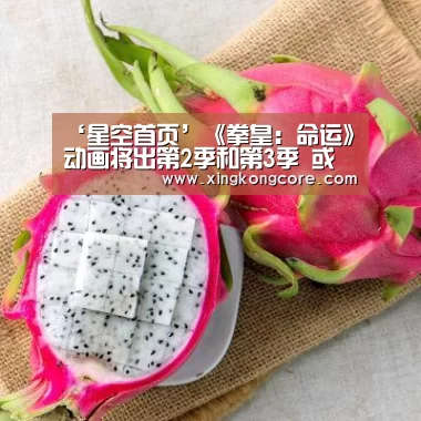 ‘星空首页’《拳皇:命运》动画将出第2季和第3季 或有电影版(图1) 星空直播