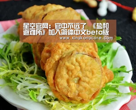 星空官网:官中不远了 《盐和避难所》加入简体中文beta版(图2) 星空官网