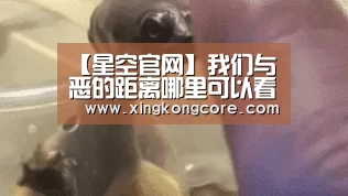 星空首页